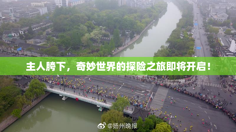 主人胯下，奇妙世界的探险之旅即将开启！
