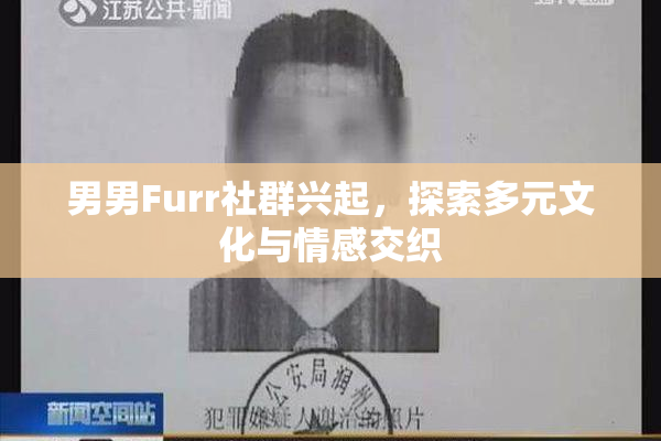 男男Furr社群兴起，探索多元文化与情感交织