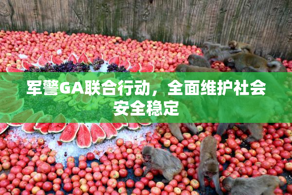 军警GA联合行动，全面维护社会安全稳定