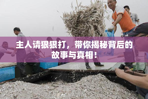 主人请狠狠打，带你揭秘背后的故事与真相！