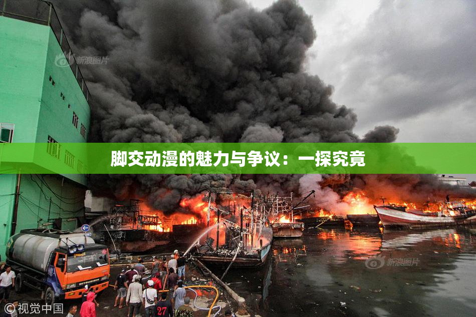 脚交动漫的魅力与争议：一探究竟
