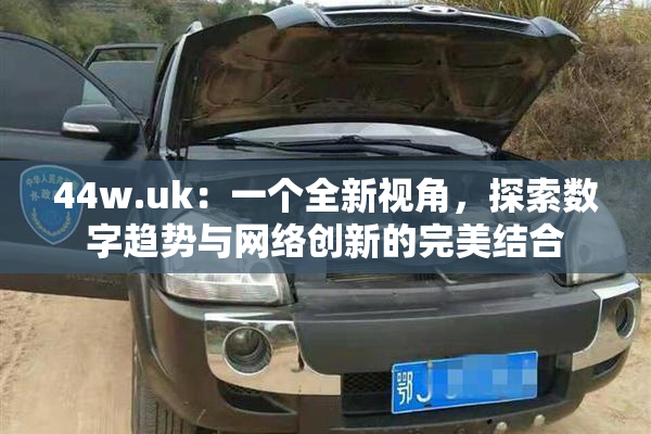44w.uk：一个全新视角，探索数字趋势与网络创新的完美结合