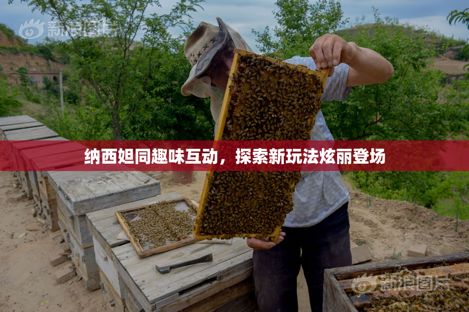 纳西妲同趣味互动，探索新玩法炫丽登场