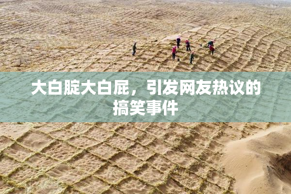 大白腚大白屁，引发网友热议的搞笑事件