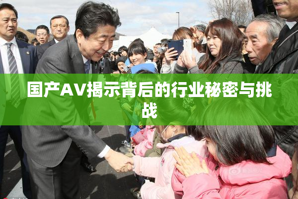 国产AV揭示背后的行业秘密与挑战