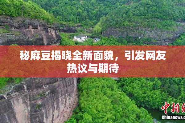 秘麻豆揭晓全新面貌，引发网友热议与期待