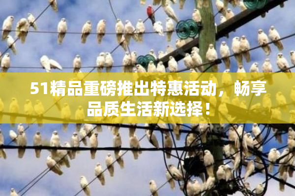 51精品重磅推出特惠活动，畅享品质生活新选择！