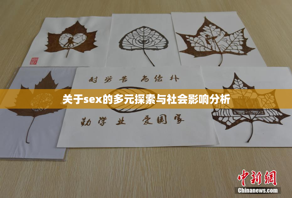 关于sex的多元探索与社会影响分析