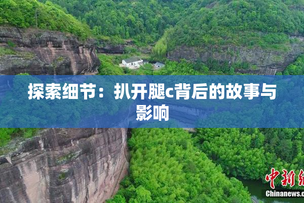 探索细节：扒开腿c背后的故事与影响