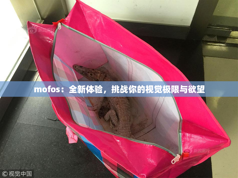 mofos：全新体验，挑战你的视觉极限与欲望