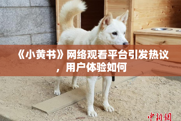 《小黄书》网络观看平台引发热议，用户体验如何