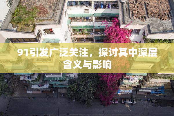 91引发广泛关注，探讨其中深层含义与影响