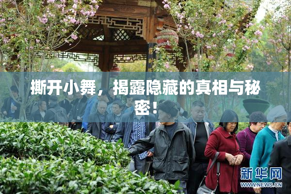 撕开小舞，揭露隐藏的真相与秘密！