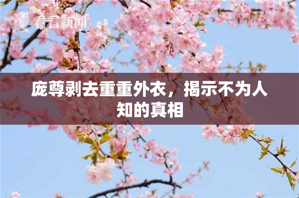 庞尊剥去重重外衣，揭示不为人知的真相
