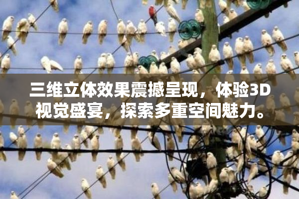 三维立体效果震撼呈现，体验3D视觉盛宴，探索多重空间魅力。