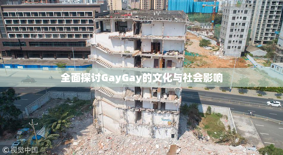 全面探讨GayGay的文化与社会影响