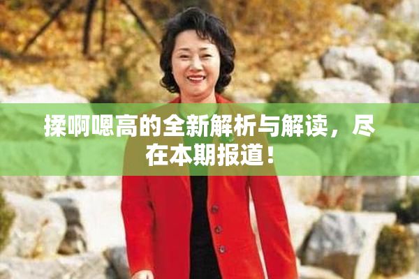 揉啊嗯高的全新解析与解读，尽在本期报道！