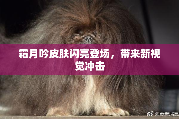 霜月吟皮肤闪亮登场，带来新视觉冲击