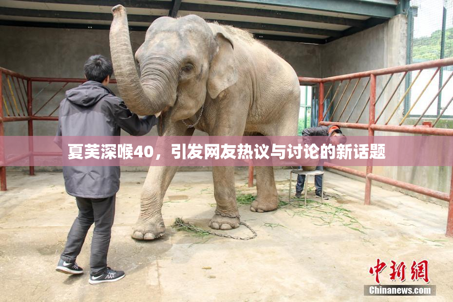 夏芙深喉40，引发网友热议与讨论的新话题
