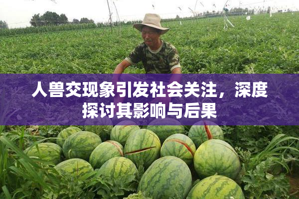 人兽交现象引发社会关注，深度探讨其影响与后果