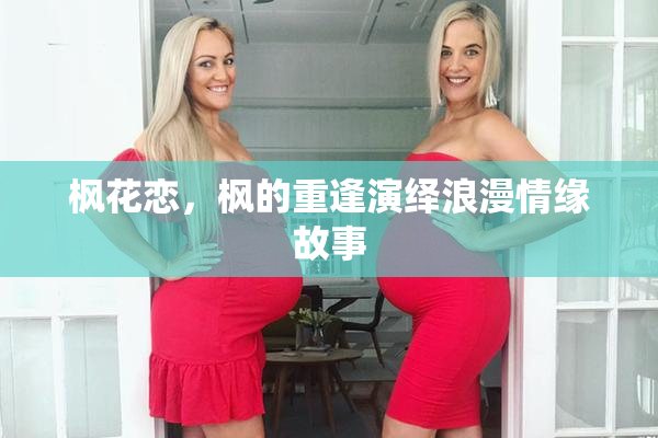 枫花恋，枫的重逢演绎浪漫情缘故事