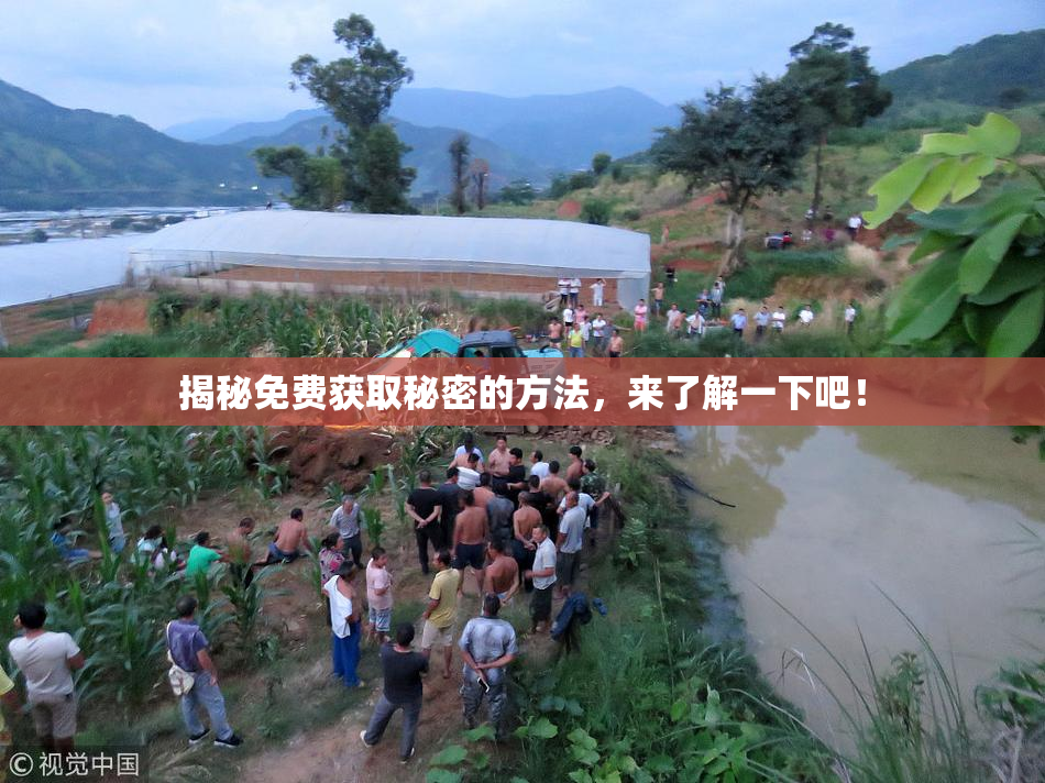 揭秘免费获取秘密的方法，来了解一下吧！