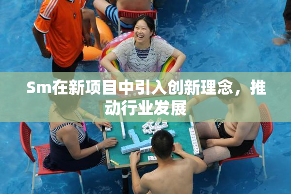Sm在新项目中引入创新理念，推动行业发展