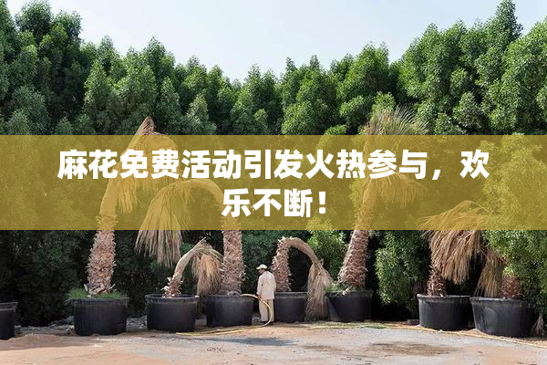 麻花免费活动引发火热参与，欢乐不断！