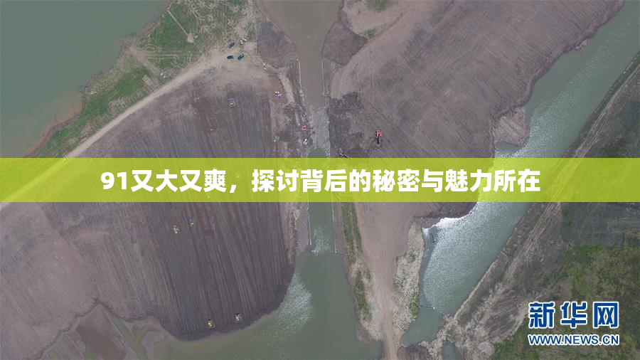 91又大又爽，探讨背后的秘密与魅力所在