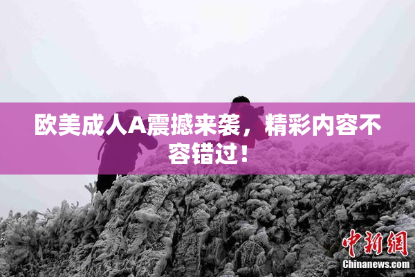 欧美成人A震撼来袭，精彩内容不容错过！