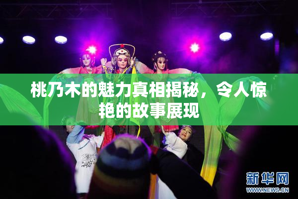 桃乃木的魅力真相揭秘，令人惊艳的故事展现