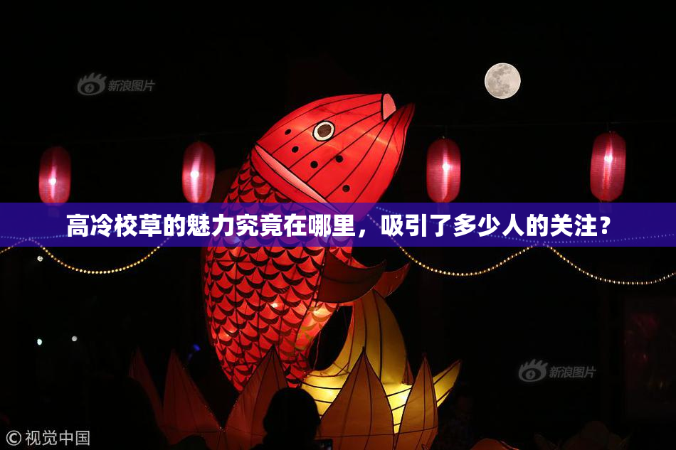 高冷校草的魅力究竟在哪里，吸引了多少人的关注？