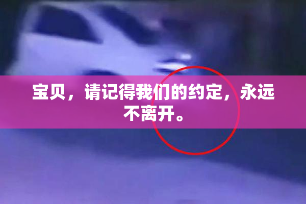 宝贝，请记得我们的约定，永远不离开。