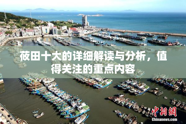 莜田十大的详细解读与分析，值得关注的重点内容