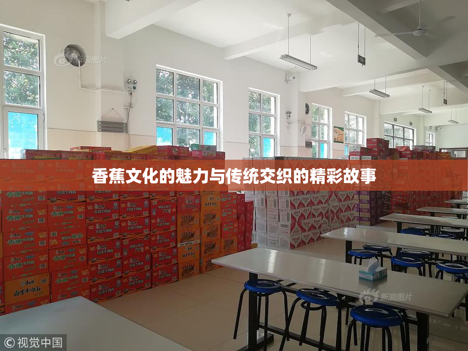 香蕉文化的魅力与传统交织的精彩故事