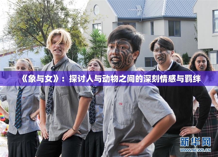 《象与女》：探讨人与动物之间的深刻情感与羁绊