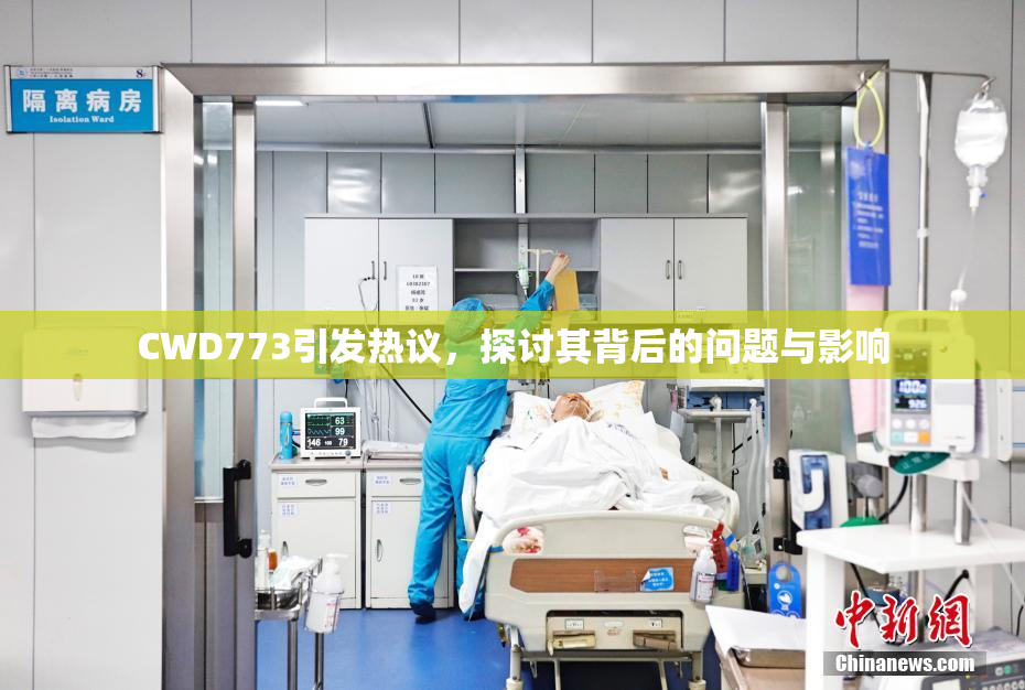 CWD773引发热议，探讨其背后的问题与影响