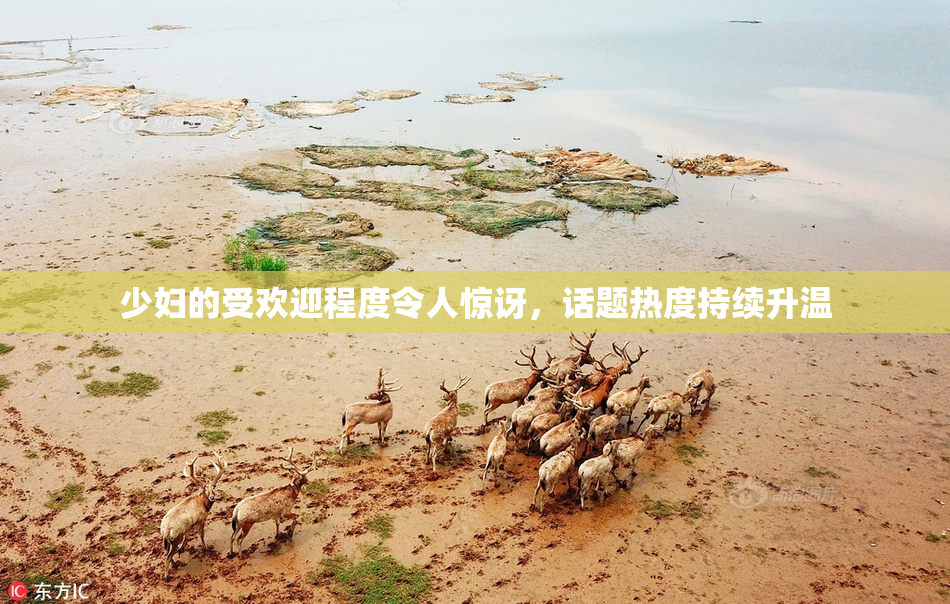 少妇的受欢迎程度令人惊讶，话题热度持续升温