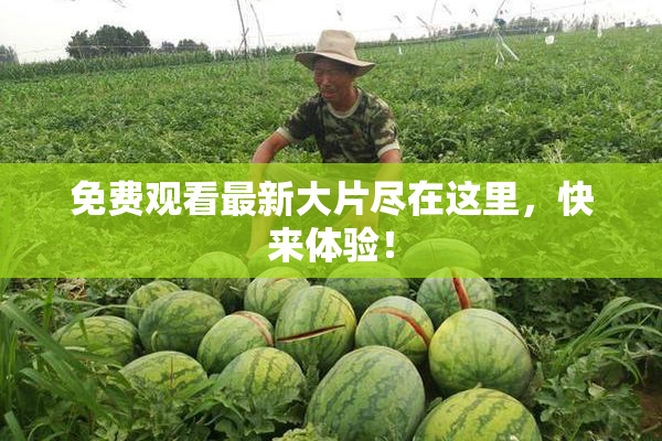免费观看最新大片尽在这里，快来体验！