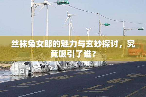 丝袜兔女郎的魅力与玄妙探讨，究竟吸引了谁？