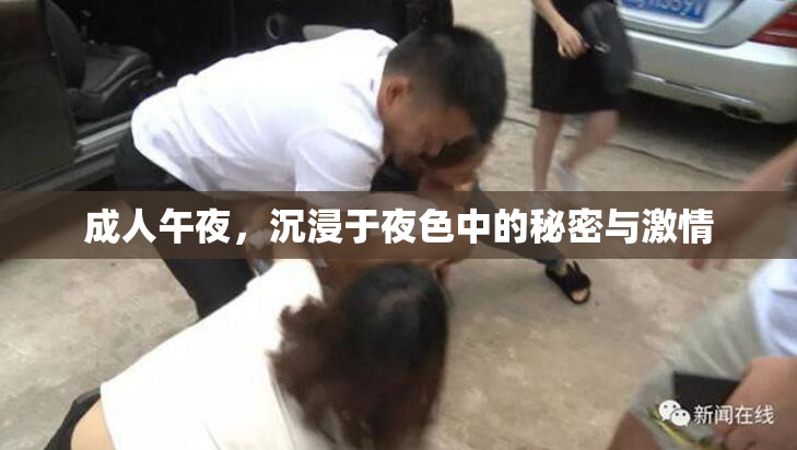 成人午夜，沉浸于夜色中的秘密与激情