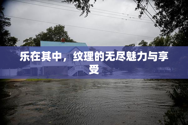 乐在其中，纹理的无尽魅力与享受