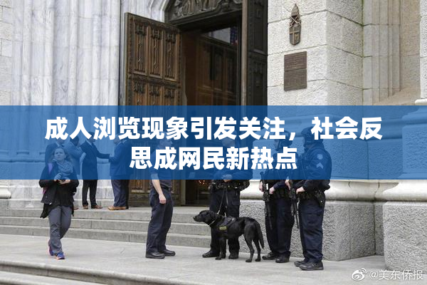 成人浏览现象引发关注，社会反思成网民新热点