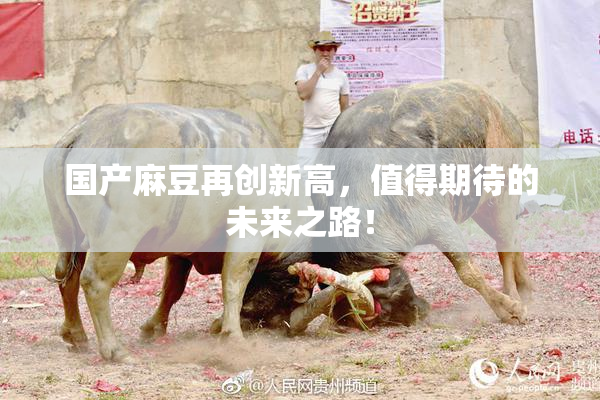 国产麻豆再创新高，值得期待的未来之路！