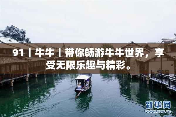 91丨牛牛丨带你畅游牛牛世界，享受无限乐趣与精彩。