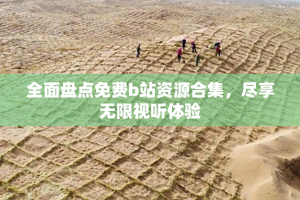 全面盘点免费b站资源合集，尽享无限视听体验