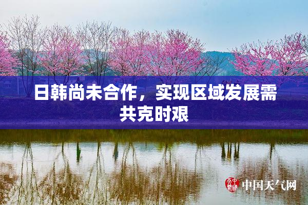 日韩尚未合作，实现区域发展需共克时艰
