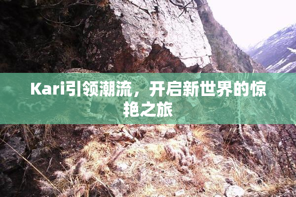 Kari引领潮流，开启新世界的惊艳之旅