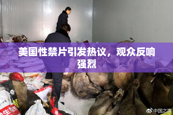 美国性禁片引发热议，观众反响强烈