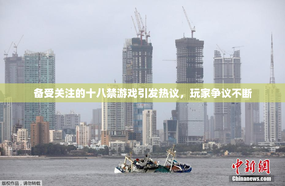 备受关注的十八禁游戏引发热议，玩家争议不断